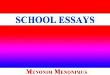 School Essays Part -II School Essays Part -II