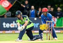 A Cricket Match-Essay A Cricket Match-Essay