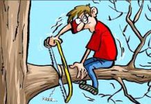 A Little Learning Is a Dangerous Thing-Amplification A Little Learning Is a Dangerous Thing-Amplification