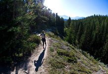 A Pedestrian and the Girl in Race A Pedestrian and the Girl in Race