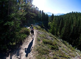 A Pedestrian and the Girl in Race A Pedestrian and the Girl in Race