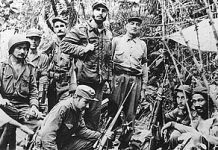 A Troop of Revolutionaries | S Story A Troop of Revolutionaries