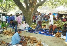 A Village Market-An Essay A Village Market-An Essay