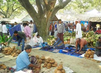 A Village Market-An Essay A Village Market-An Essay