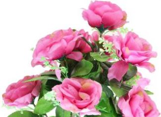 Abdus Sattar-Brief Life Sketch Abdus Sattar-Brief Life Sketch