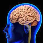 An Idle Brain Is a Devil’s Workshop-Amplification An Idle Brain Is a Devil’s Workshop-Amplification