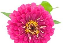 Arjun-Brief Life Sketch Arjun-Brief Life Sketch