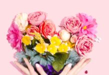 Bagh Hazarika-Brief Life Sketch Bagh Hazarika-Brief Life Sketch