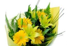 Balinarayan Bora-Brief Life Sketch Balinarayan Bora-Brief Life Sketch