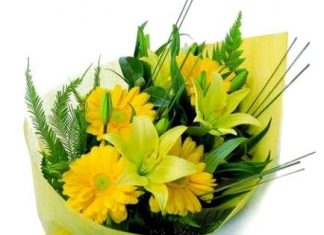 Balinarayan Bora-Brief Life Sketch Balinarayan Bora-Brief Life Sketch