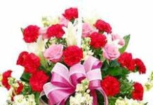 Barnali Deka-Brief Life Sketch Barnali Deka-Brief Life Sketch