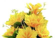 Bhavananda Dutt-Brief Life Sketch Bhavananda Dutt-Brief Life Sketch