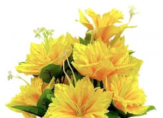 Bhavananda Dutt-Brief Life Sketch Bhavananda Dutt-Brief Life Sketch