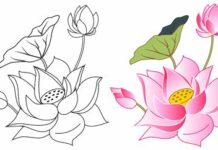 Birubala Rava-Brief Life Sketch Birubala Rava-Brief Life Sketch