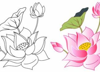 Birubala Rava-Brief Life Sketch Birubala Rava-Brief Life Sketch