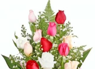 Chandra Singh Deori-Brief Life Sketch Chandra Singh Deori-Brief Life Sketch