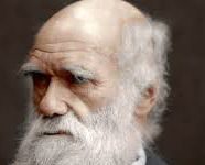 Charles Darwin | My Favourite Scientist-An Essay Charles Darwin My Favourite Scientist-An Essay