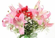 Christson Munda-Brief Life Sketch Christson Munda-Brief Life Sketch