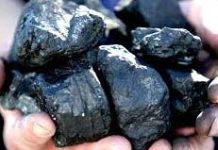 Coal-An Essay Coal-An Essay