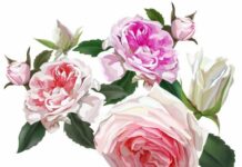 Dak-Brief Life Sketch Dak-Brief Life Sketch