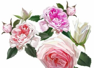 Dak-Brief Life Sketch Dak-Brief Life Sketch