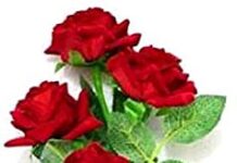 Deepjyoti Barpujari-Brief Life Sketch Deepjyoti Barpujari-Brief Life Sketch