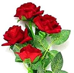 Deepjyoti Barpujari-Brief Life Sketch Deepjyoti Barpujari-Brief Life Sketch