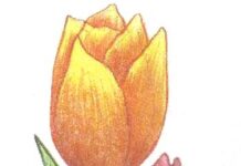 Devahuti-Brief Life Sketch Devahuti-Brief Life Sketch