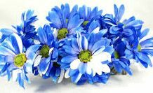 Dharmeshwari Devi Baruwani-Brief Life Sketch Dharmeshwari Devi Baruwani-Brief Life Sketch