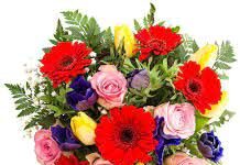 Dr Pranayee Dutt-Brief Life Sketch Dr Pranayee Dutt-Brief Life Sketch