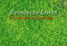 Evergreen Loves Evergreen Loves