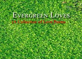 Evergreen Loves Evergreen Loves