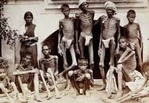 Famine-An Essay Famine-An Essay