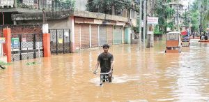 Flood in Assam Great Flood in Assam Essay