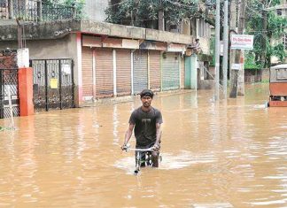 Flood in Assam | Great Flood in Assam Essay Flood in Assam Great Flood in Assam Essay