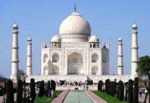 Handsome is that Handsome Does-Amplification Handsome is that Handsome Does-Amplification