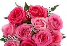 Harkanta Sadarmin-Brief Life Sketch Harkanta Sadarmin-Brief Life Sketch