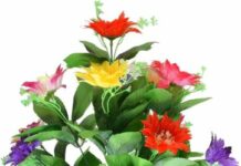 Jhapara Jagadha-Brief Life Sketch Jhapara Jagadha-Brief Life Sketch