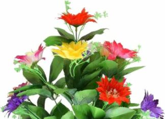 Jhapara Jagadha-Brief Life Sketch Jhapara Jagadha-Brief Life Sketch