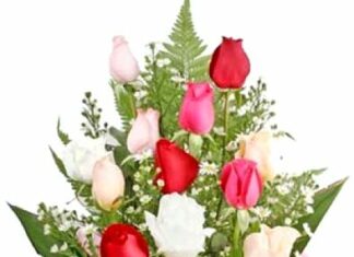 Jnannath Bora-Brief Life Sketch Jnannath Bora-Brief Life Sketch