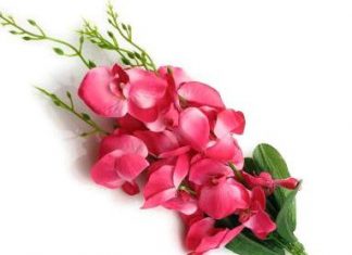 Kashinath Phukan-Brief Life Sketch Kashinath Phukan-Brief Life Sketch