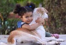 Kindness to Animals-An Essay Kindness to Animals-An Essay