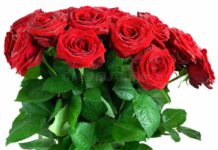 Lankeshwar Gohain-Brief Life Sketch Lankeshwar Gohain-Brief Life Sketch