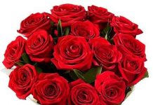 M Ibrahim Ali-Brief Life Sketch M Ibrahim Ali-Brief Life Sketch