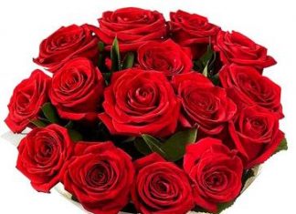 M Ibrahim Ali-Brief Life Sketch M Ibrahim Ali-Brief Life Sketch