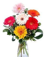 Madan Mohan Saikia-Brief Life Sketch Madan Mohan Saikia-Brief Life Sketch