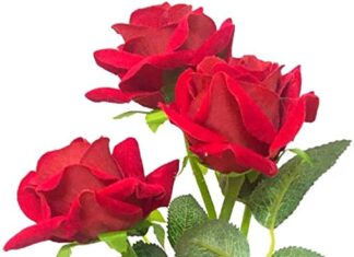 Manik Lal Bhowmik-Brief Life Sketch Manik Lal Bhowmik-Brief Life Sketch