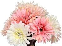 Manika Bhowmik-Brief Life Sketch Manika Bhowmik-Brief Life Sketch