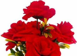 Mohan Saikia-Brief Life Sketch Mohan Saikia-Brief Life Sketch