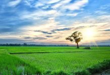 My Favourite Season-A Paragraph My Favourite Season